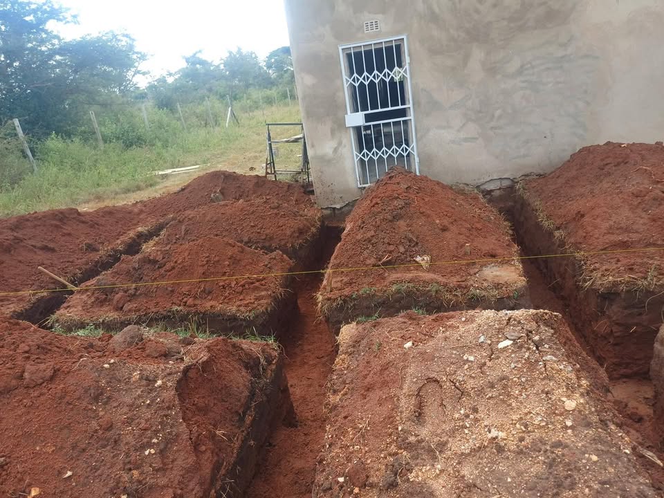Swazi Aid